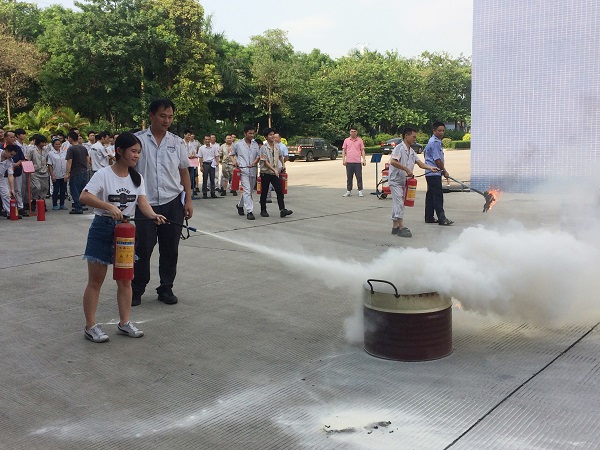 lanson staff lanson staff